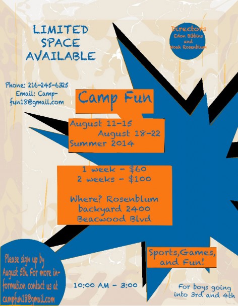 Camp Fun Flyer